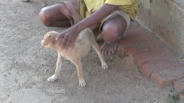 Malavi: bir köpek ile Afrikalı çocuk