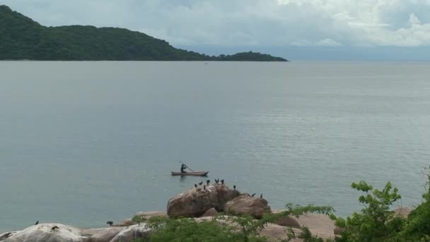 Malawi: fisherman rowing in canoe 3 — Stock Video