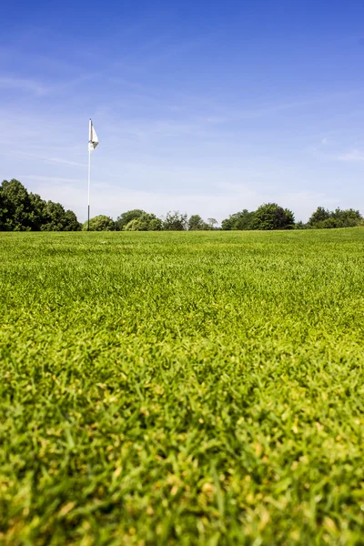 Pole golfowe — Zdjęcie stockowe