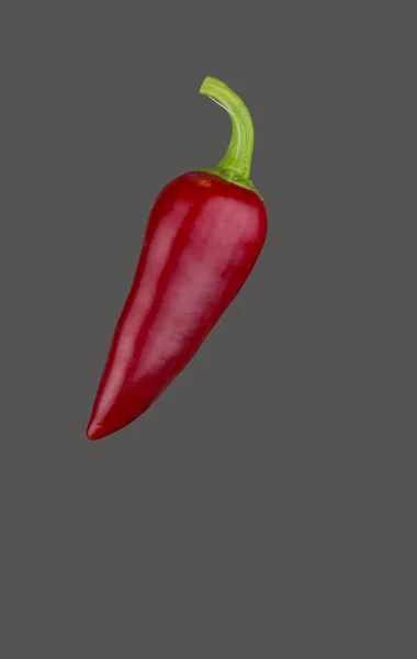 Rode chili peper — Stockfoto