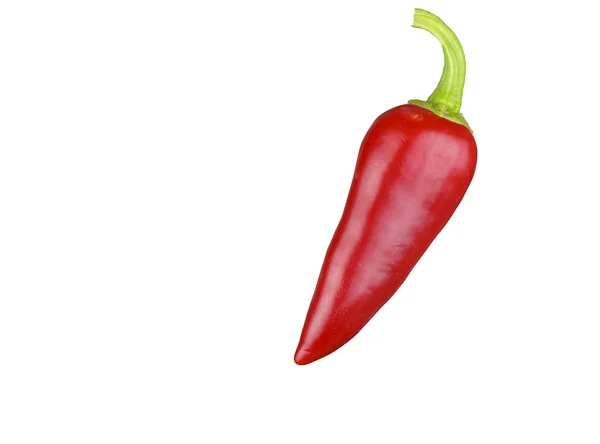 Rode chili peper — Stockfoto