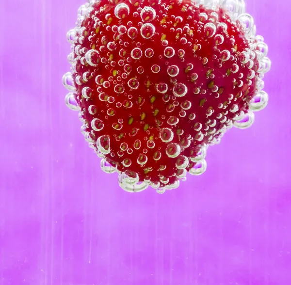 Perličková jahoda — Stock fotografie