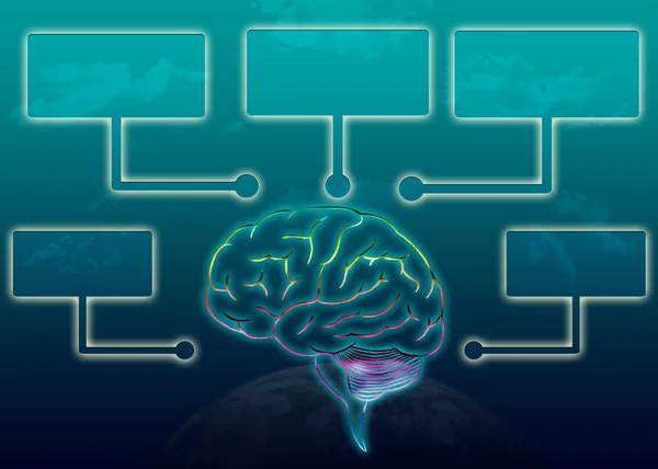 beyin illüstrasyon Infographic