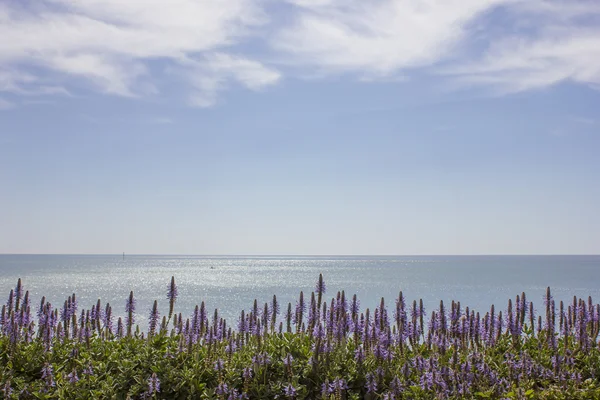 Horizonte oceânico — Fotografia de Stock