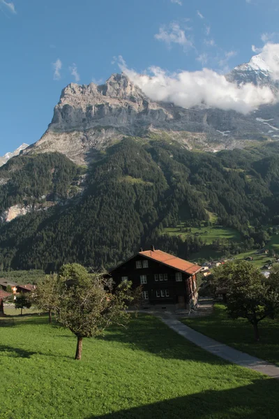 İsviçreli alp dağ evi