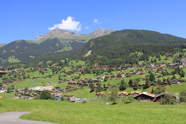 Chalet suizo Alp —  Fotos de Stock