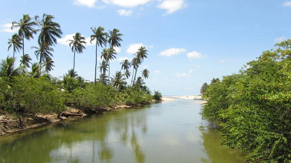 Praia de Gunga — Fotografia de Stock