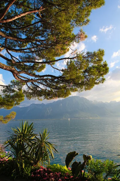 Montreux am genfer see — Stockfoto