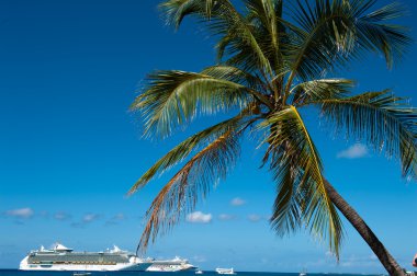 cayman Adaları'nda yolcu gemilerine