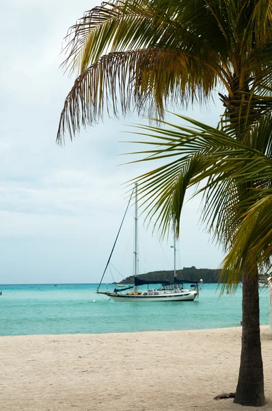 Praia em Ilhas Virgens — Fotografia de Stock