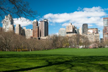 Central Park, New York