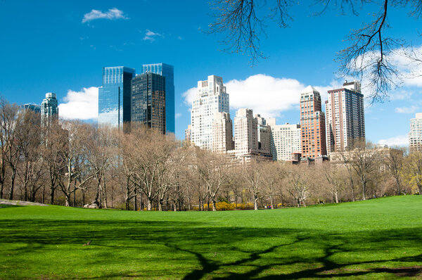 Urban view of city new york, from central park