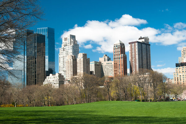 Urban view of city new york, from central park