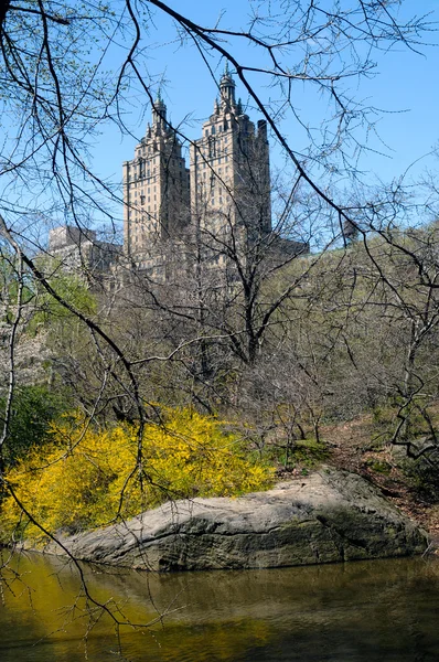 Central Park, Nueva York — Foto de Stock