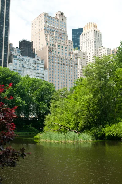 Central park, new york — Stock Photo, Image