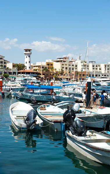 Marina cabo san lucas — Stock fotografie