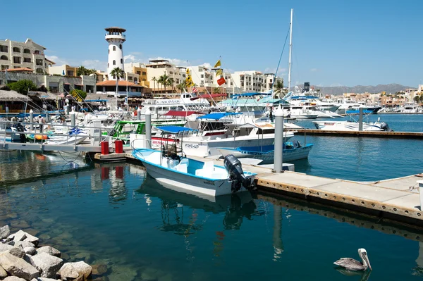 Marina Cabo San Lucas