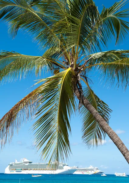 cayman Adaları'nda yolcu gemilerine