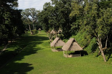 Quirigua
