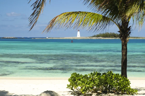 Beach in Virgin Islands — Stock Photo, Image