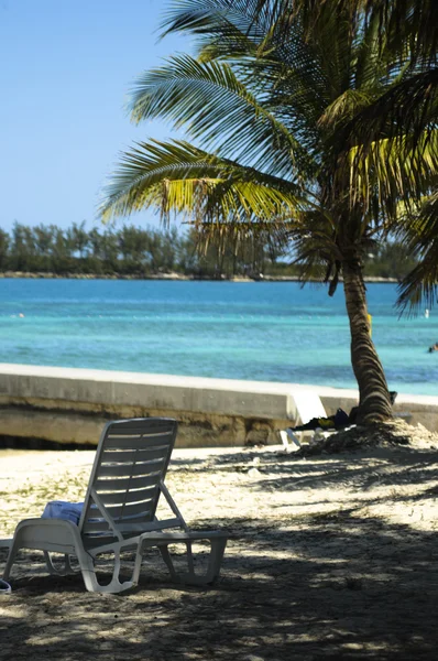 Beach in bahamas — Stock Photo, Image