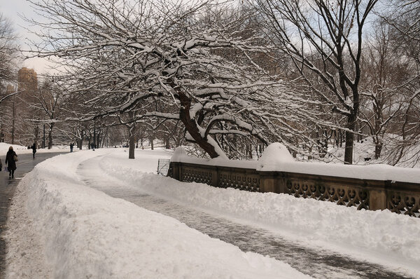 A Winter view of Central Park in New York City after a fresh snowfall.