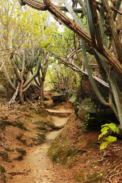 เส้นทางไปยังอ่างอาบน้ําของ Virgin Gorda — ภาพถ่ายสต็อก