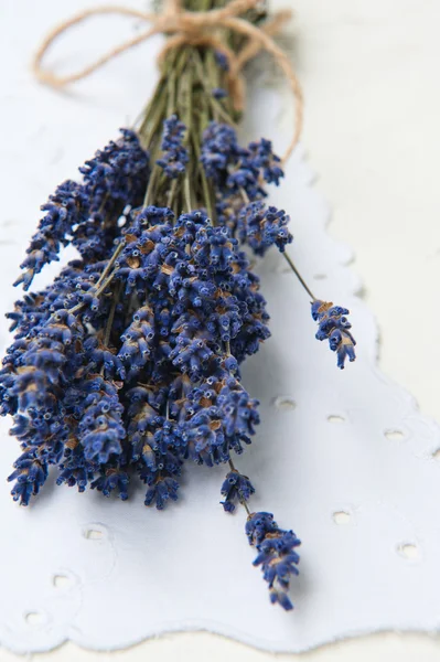 Lavanda — Foto de Stock