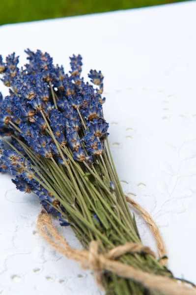 Lavender — Stock Photo, Image