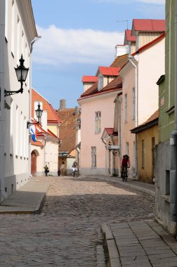 Tallinn manzarası, Estonya 'nın başkenti.