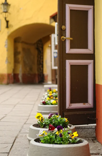 Stare kolorowe drzwi w Tallinie, estonia — Zdjęcie stockowe
