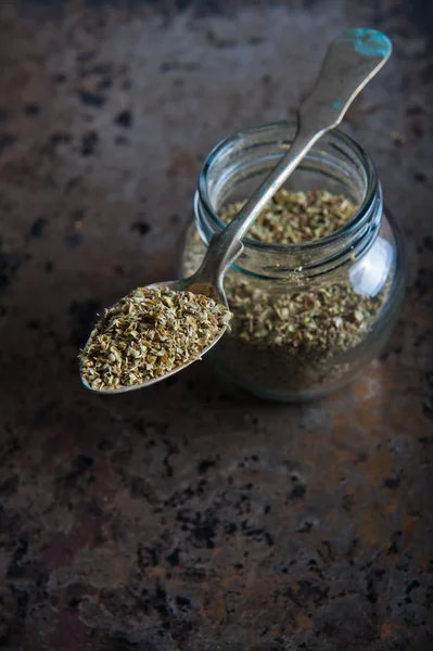 Oregano — Stock Photo, Image