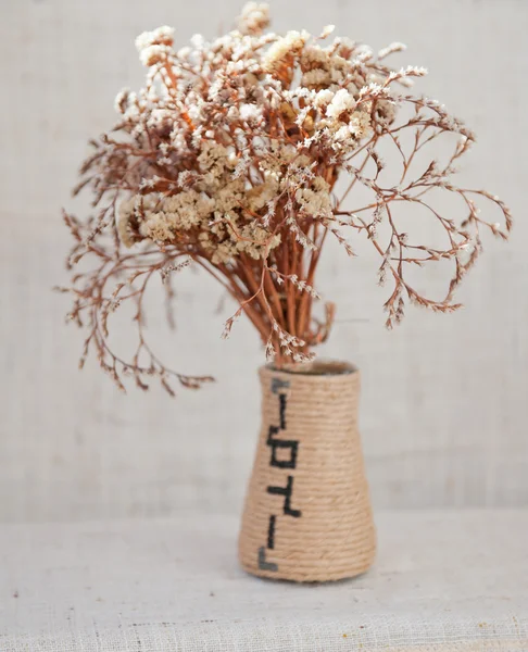Dry flowers — Stock Photo, Image