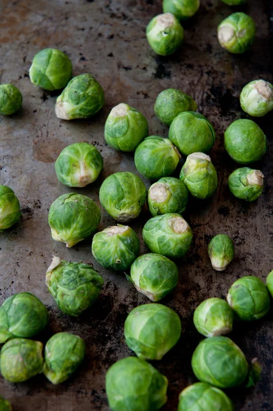 Brussels cabbage — Stock Photo, Image