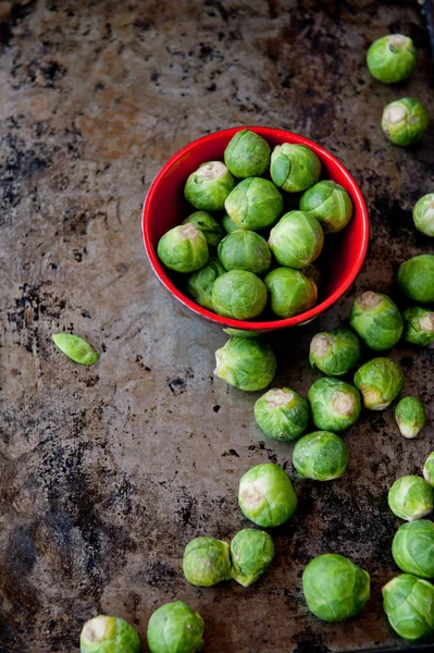 Brussels cabbage — Stock Photo, Image