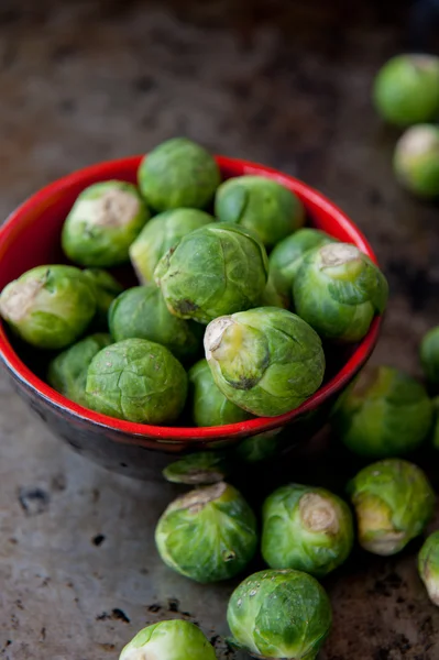 Brussels cabbage — Stock Photo, Image