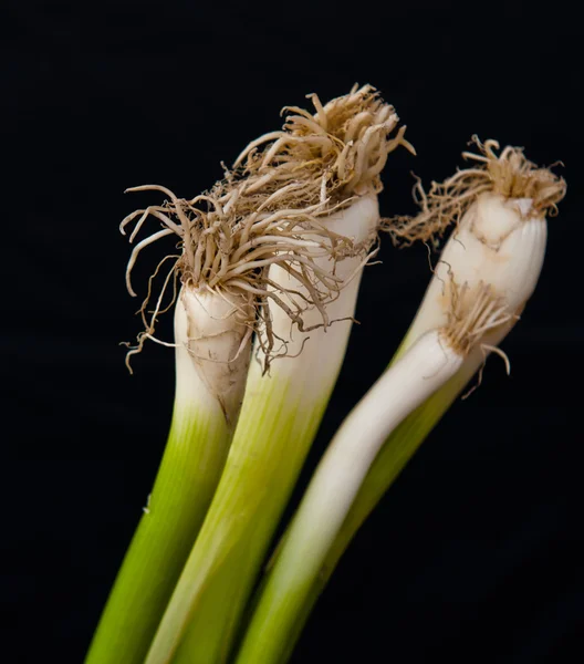 Cebolletas — Foto de Stock