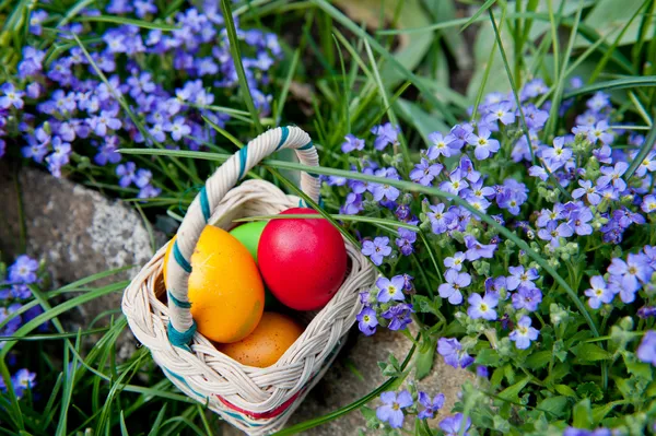 Eier — Stockfoto