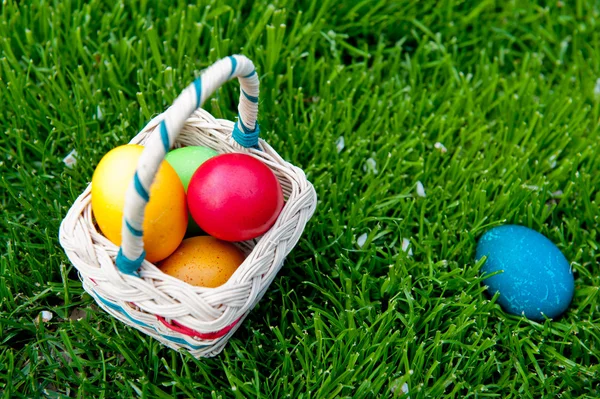 Eggs — Stock Photo, Image