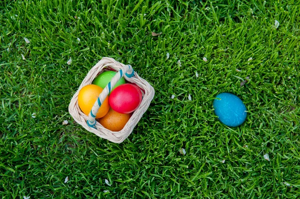 Eggs — Stock Photo, Image