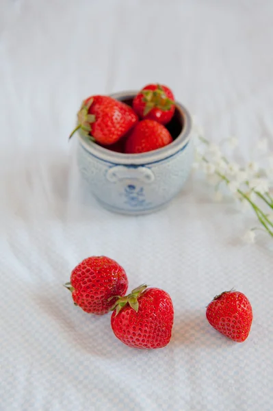 Aardbeien — Stockfoto