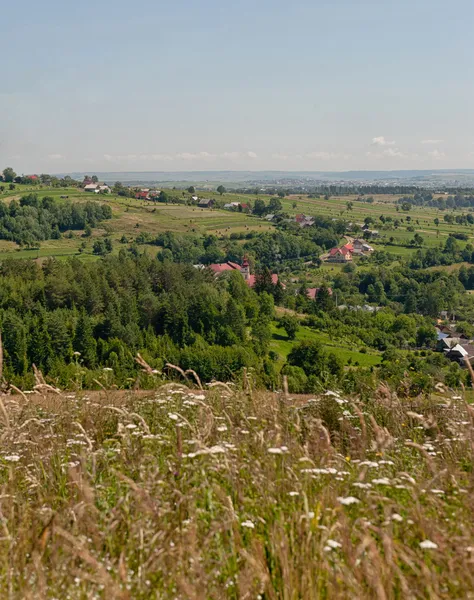 solonetul nou Köyü