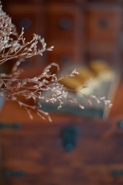 Lebkuchen — Stockfoto