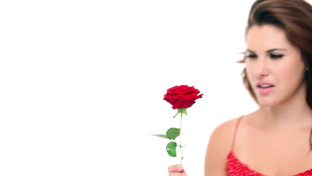 Valentines Rose — Stockvideo