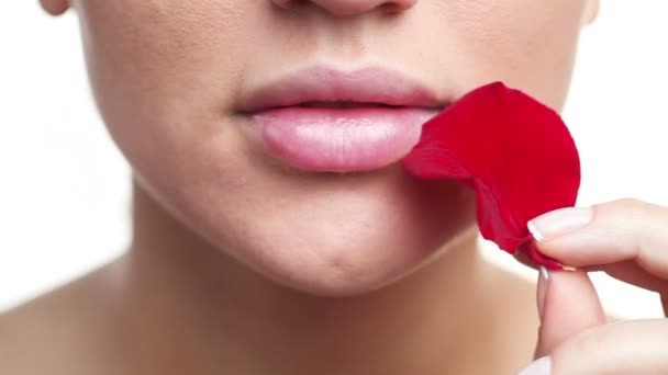 Mujer tocando sus labios con pétalo de rosa roja sobre un fondo blanco — Vídeo de stock