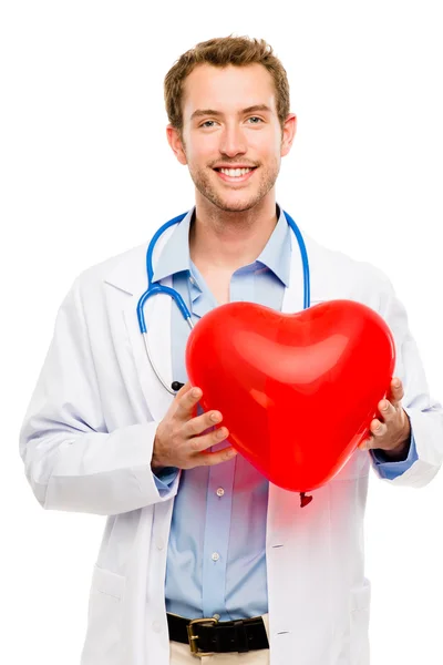 Doctor holding heart white background Stock Image