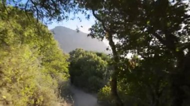 Güzel bir plajın 4K video görüntüleri.