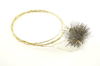 Wire brush