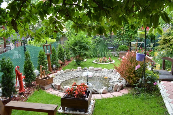 Giardino Domestico Serbo Con Erba Verde Fontana Vasi Fiori Pozarevac — Foto Stock