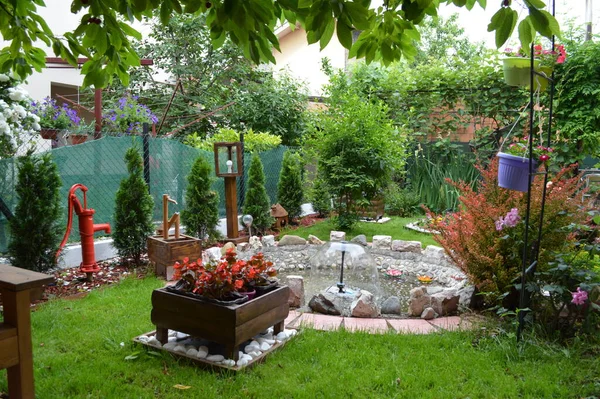 Jardin Maison Serbe Avec Herbe Verte Fontaine Pots Fleurs Pozarevac — Photo